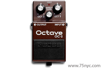 Enlarged view of image